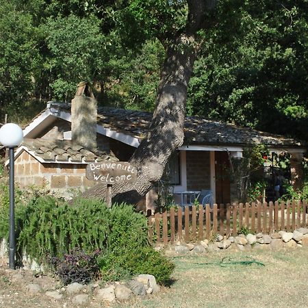 Azienda Agricola Biologica La Cardellina Tolfa Exterior foto