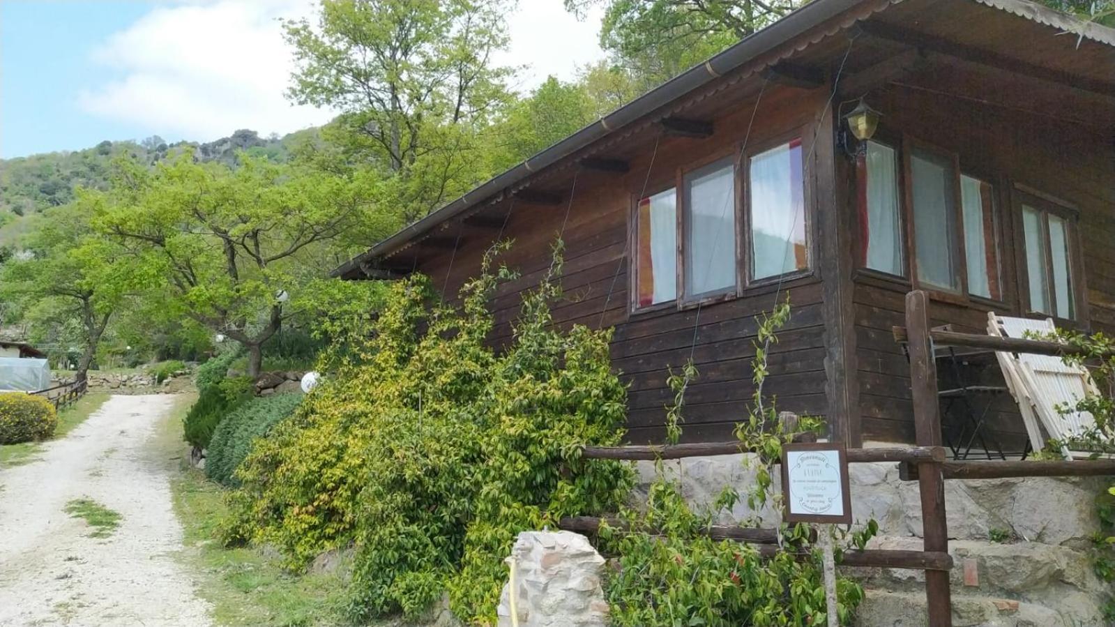 Azienda Agricola Biologica La Cardellina Tolfa Exterior foto