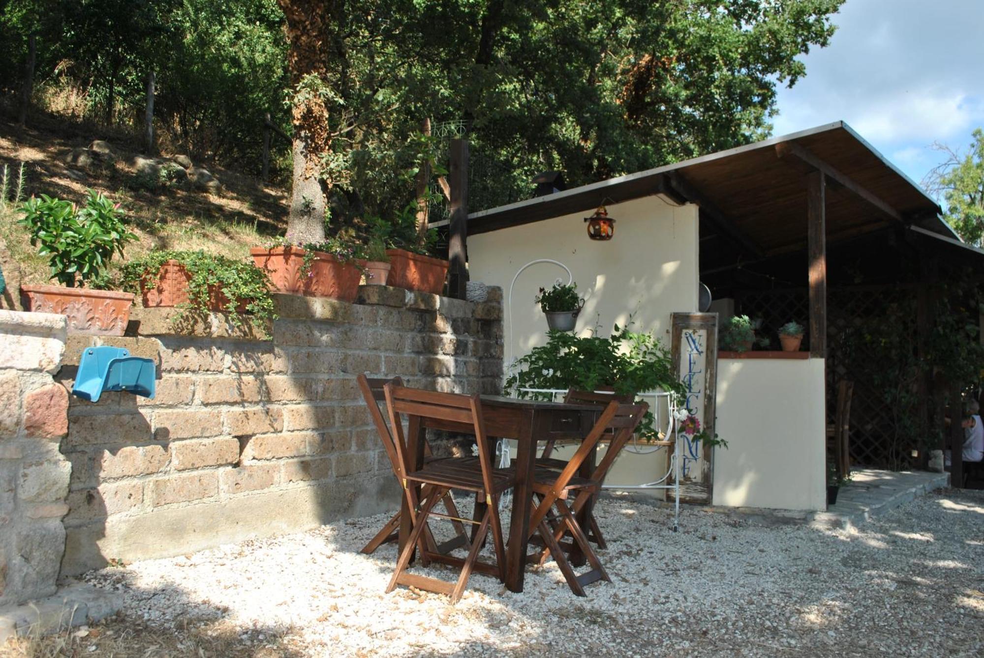Azienda Agricola Biologica La Cardellina Tolfa Exterior foto