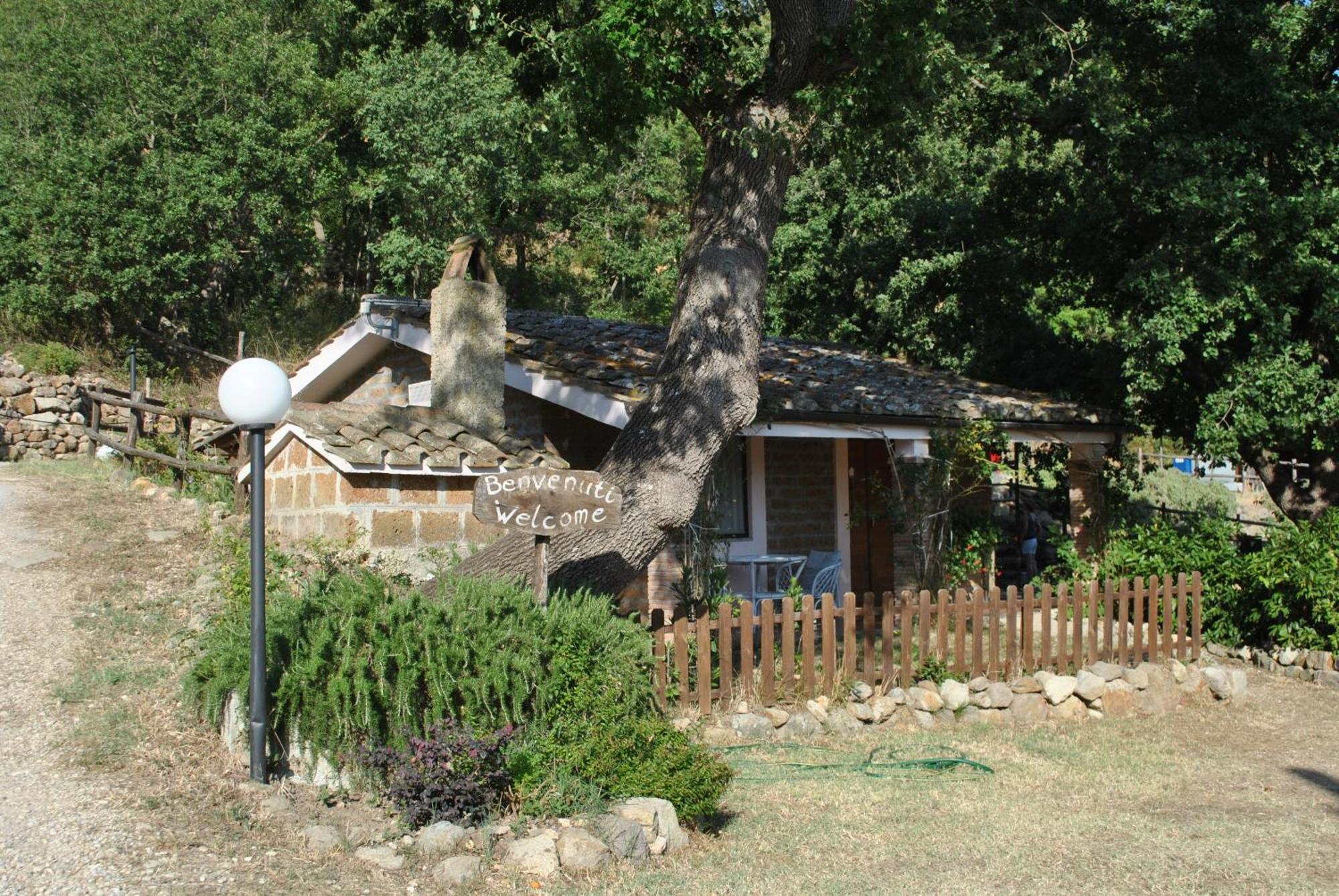 Azienda Agricola Biologica La Cardellina Tolfa Exterior foto
