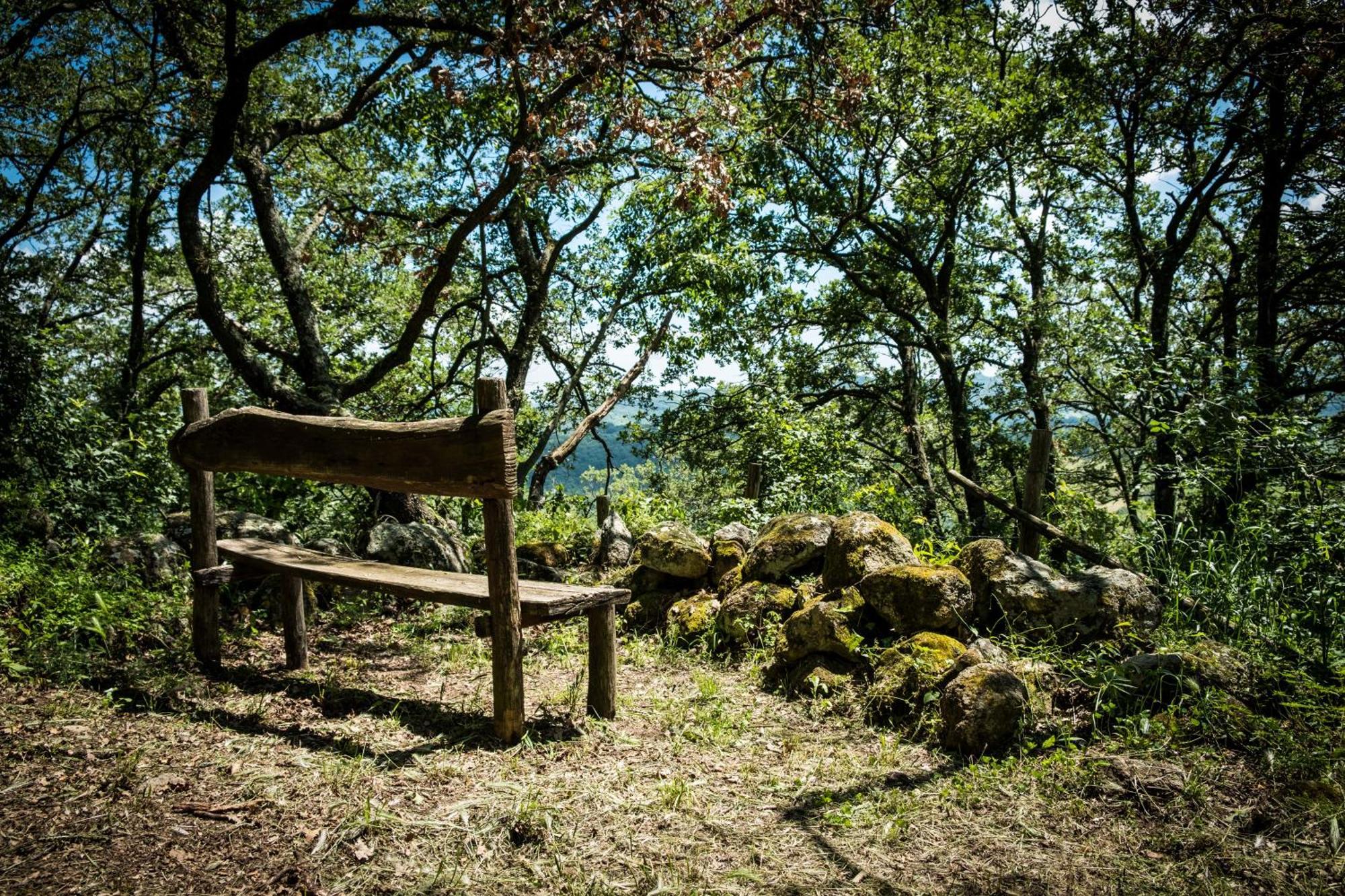 Azienda Agricola Biologica La Cardellina Tolfa Exterior foto