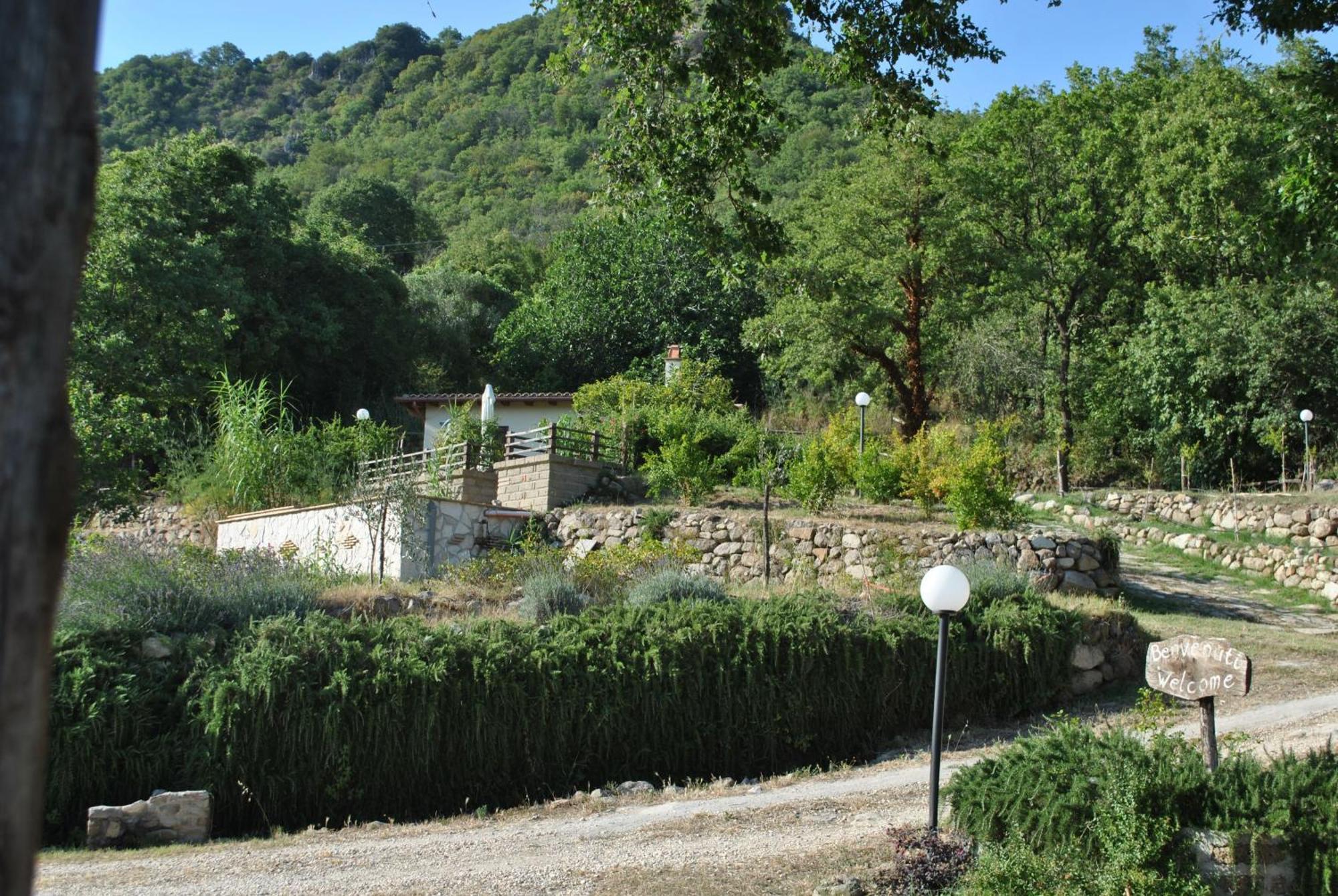 Azienda Agricola Biologica La Cardellina Tolfa Exterior foto