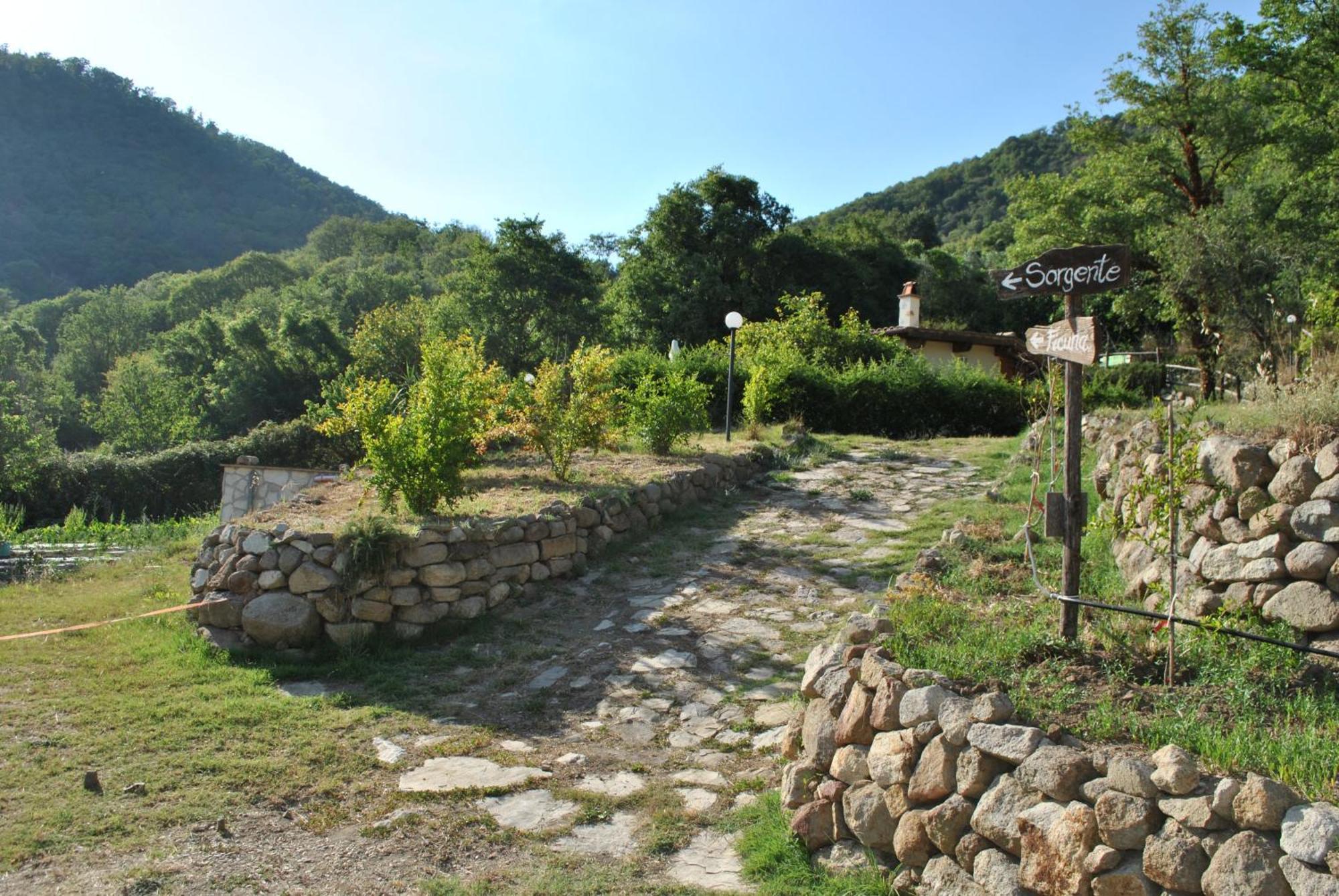 Azienda Agricola Biologica La Cardellina Tolfa Exterior foto